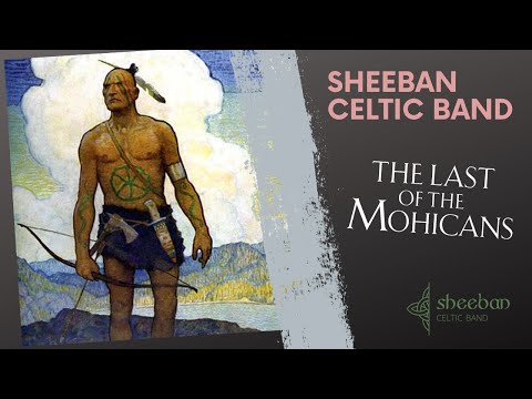 Sheeban Celtic Band - Last Of The Mohicans Jig - Irish style bagpipes cover
