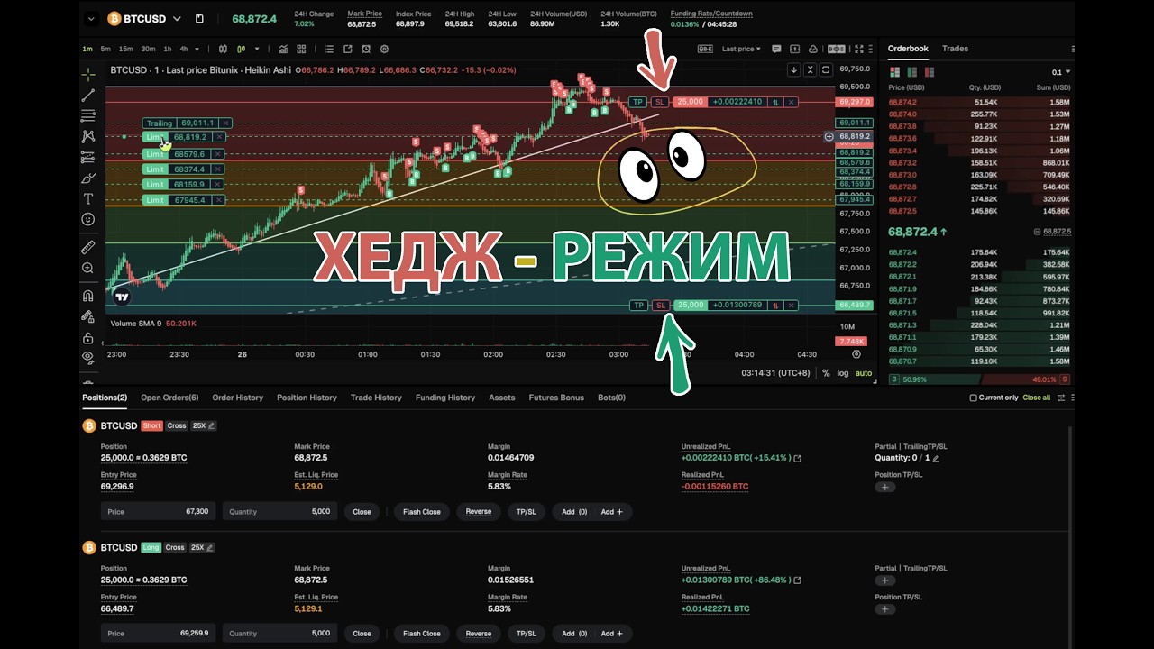 ХЕДЖ РЕЖИМ - ЧТО ЭТО, С ЧЕМ ЕДЯТ И КАК НА ЭТОМ ЗАРАБОТАТЬ!