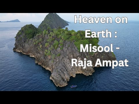 HEAVEN ON EARTH! MISOOL - RAJA AMPAT 2023 - MOLA MOLA LIVEABOARD