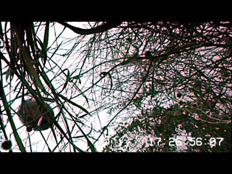 KODAK BLACK - IF IM LYIN IM FLYIN (D.O.E MIX) D CASH X RICH RELLY (OFFICIAL VIDEO) LOST FOOTAGE