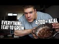 BULKING FULL DAY OF EATING | 272 LBS BODYBUILDER