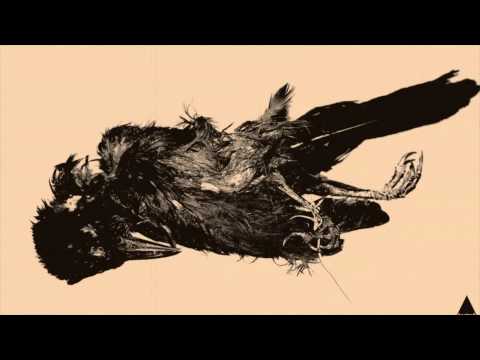 NIÑOPROBLEMA - CUERVO (CON HISPANA MAMBA NEGRA & CLOW)