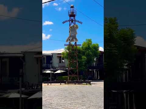 Entrada al mercado de la ciudad de #zarate ubicado en la costanera #shorts #buenosaires #travel