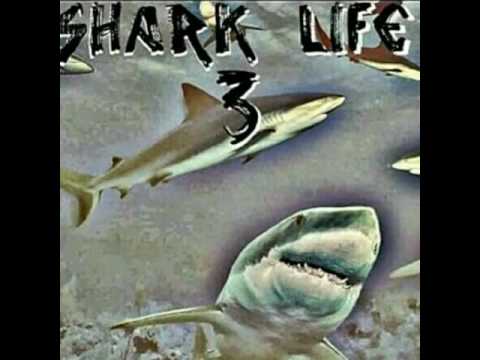 Make That Ass Clap  J Swiss ft Rida Zilla