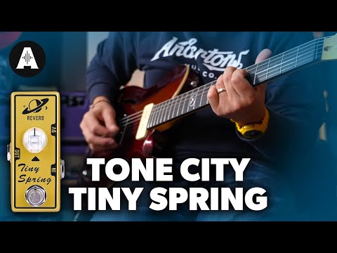 Tone City Version 2025 "Tiny Spring" Micro Reverb. Fast U.S. Shipping! No Overseas or Cross Border Wait times image 5