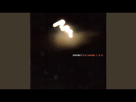 6 Sonatas, ZWV 81, No. 6 in C Minor: III. Adagio