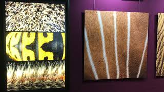 Lancement de l'expo "La Nature dans la peau". Phase 1....