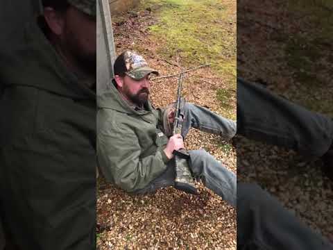 Stoeger m3500 predator/Turkey shotgun and Carlson longbeard xr choke review and pattern testing