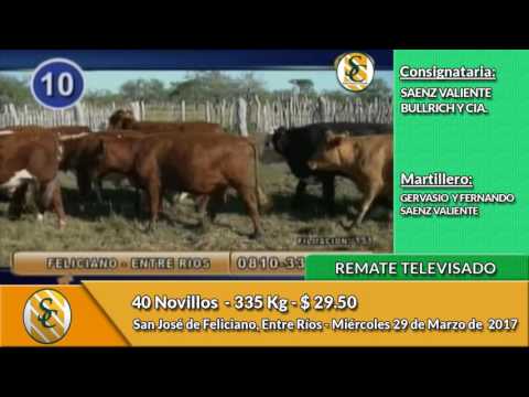 29-03-17 - Ventas del Remate Televisado de Saenz Valiente Bullrich y Cia - Entre Ríos