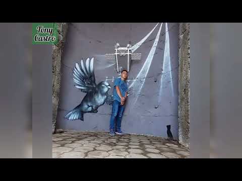 Tony Castro ft Porki [Grifos en el party] (Oficial.) Suscribance