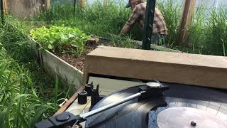 Later - from Foreigner by Cat Stevens