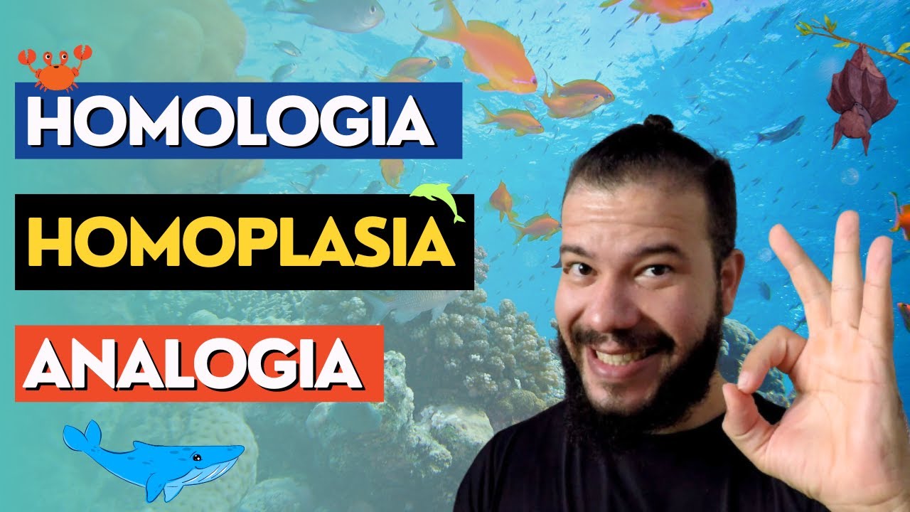 Caracteres e conceito de homologia e analogia - Zoologia, sistemática e filogenética