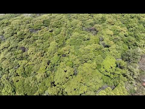 清水山を散策しよう（空撮 みやま市清水山）