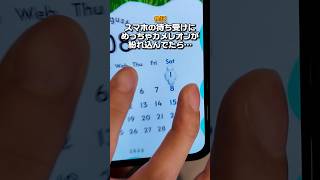 兄のスマホの待ち受けに勝手に「めっちゃカメレオン」擬態させてみたらｗｗｗ