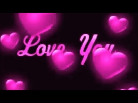 Draco the Diablo bands ( all mine )