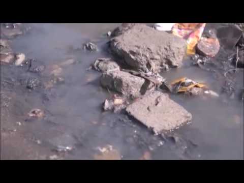 Randy Lorge On Plumbing Challenge