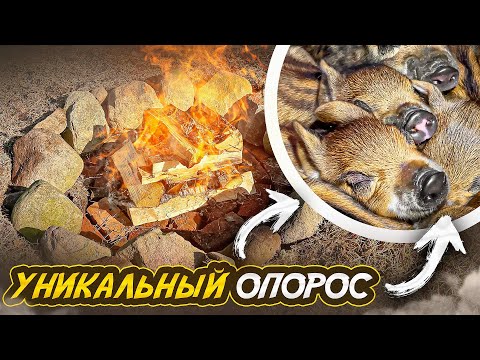 ЧУДО НА ХУТОРЕ! НЮША ВСЁ! НАША ЖИЗНЬ НА КРАЮ ЛЕСА