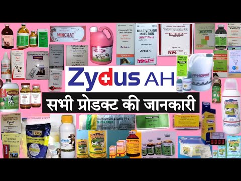 zydus-medication Mp4 3GP Video & Mp3 Download unlimited Videos Download - zydus-medication Mp4 3GP Video & Mp3 Download unlimited Videos Download -
