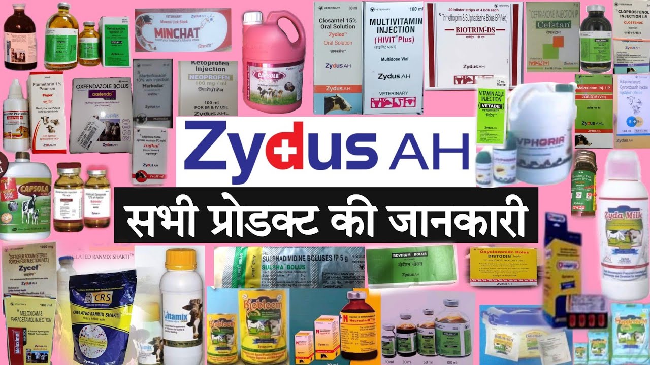 Watch video Zydus veterinary products zenex ah (Zydus animal health) #veterinarymedicine #vet #zydus #zenexah Now Zydus veterinary products zenex ah (Zydus animal health) #veterinarymedicine #vet #zydus #zenexah