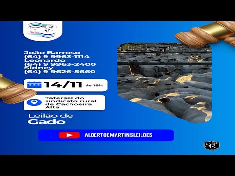 LEILÃO ALBERTO e MARTINS 14/11/2025 AS 18:00 hs em Cachoeira Alta Go.