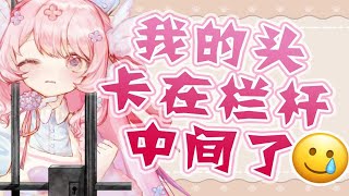 【丢人日记】不就是脑袋卡在栅栏中间了嘛！