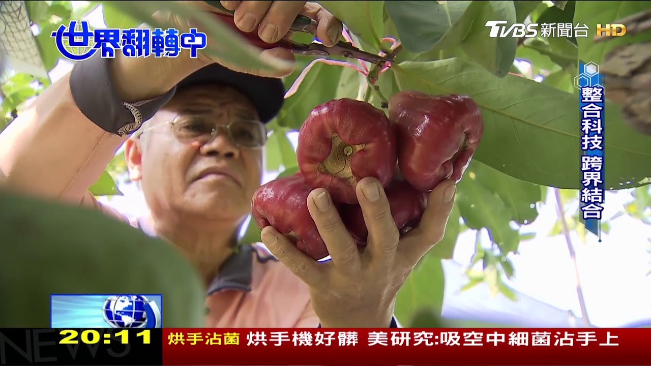 因應極端氣候 農業栽培技術不斷創新
