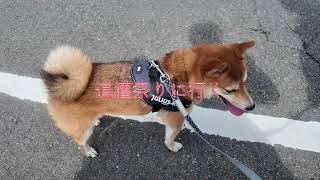 【2025】柴犬と行く道灌祭り