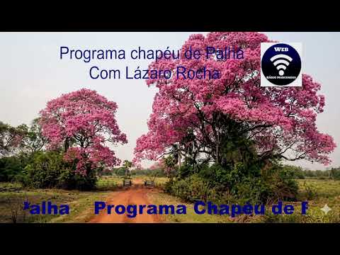 Programa Chapéu de Palha