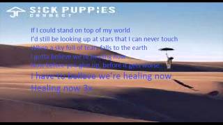 Sick Puppies   Healing Now lyrics