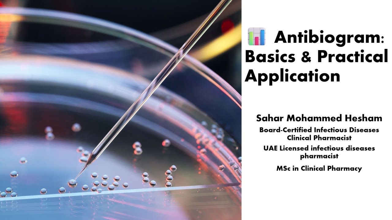 Antibiogram Basics | CLSI Guidelines, First Isolate Rule & Empirical Therapy | AMS Training