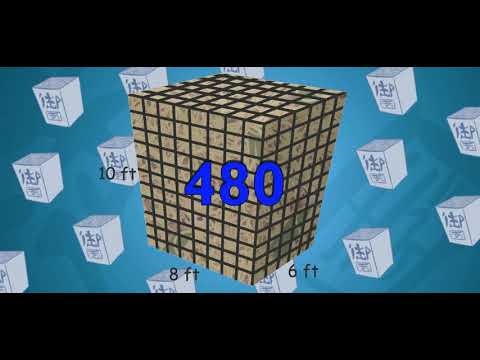 Scholastic - Study Jams - Volume