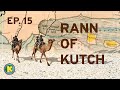 Rann Of Kutch How Was It Formed And Why Is It So White Ep 15