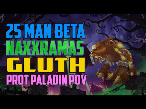 25 Man BUGGED Gluth Prot Paladin Kiter POV - WotLK Classic Beta