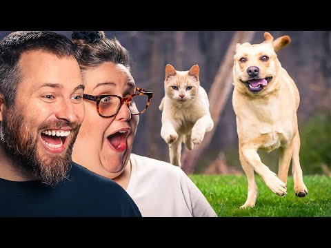 TRY NOT TO LAUGH: Dogs With The Zoomies