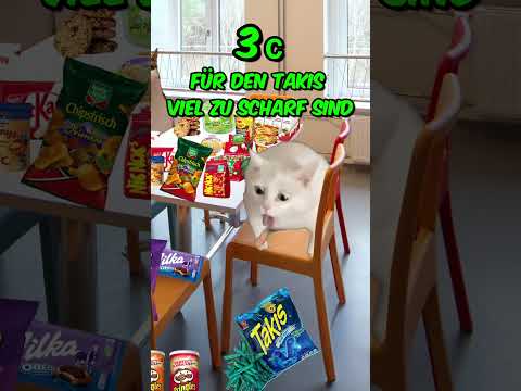 Klassenfahrt 🥳 Nr 6 war ich 😥 Arten von Schülern #katzenvideos  #katzen  #katze  #schule  #shorts