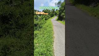 Download lagu #musik sunda #tarompet #hiburan##### Bohong versi kuda renggong mp3 Download lagu #musik sunda #tarompet #hiburan##### Bohong versi kuda renggong mp3