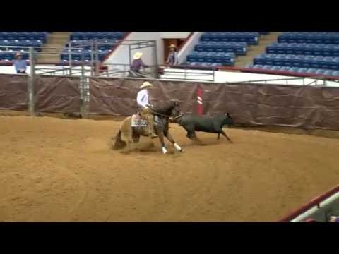 Roosters Pistolena - Fence