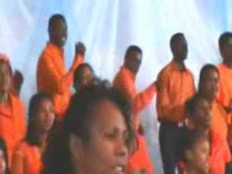 Hidera hifaly 20130623