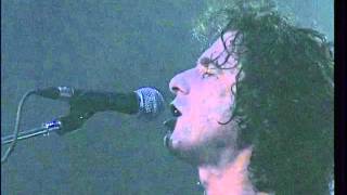 Andrés Calamaro - Vigilante medio argentino. Made in Argentina. Directo 2005