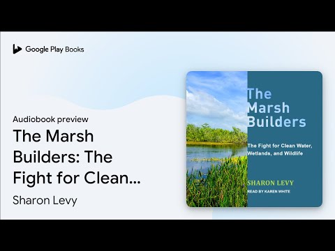 The Fight for Clean Water,… by Sharon Levy · Audiobook preview
