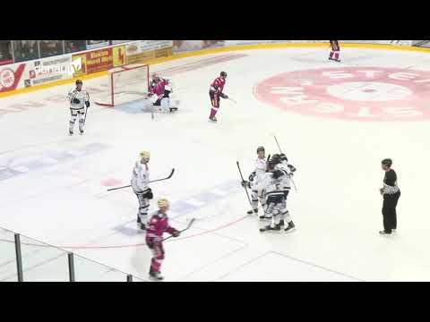 DEL 2: Deggendorfer SC verliert gegen Dresden!
