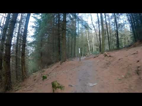 2019 0217 010354 034