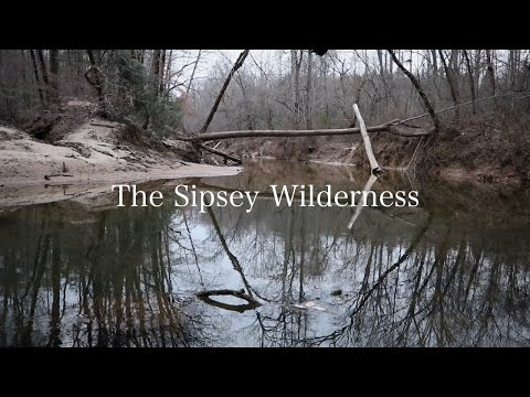 Exploring the Sipsey Wilderness