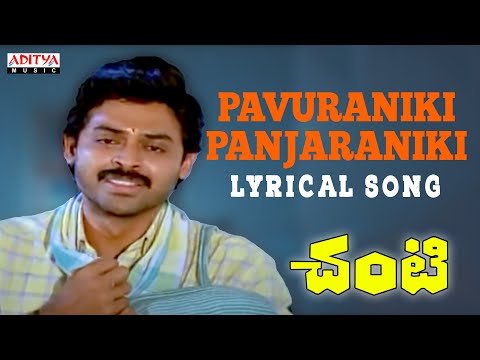 Pavuraniki Panjaraniki Full Song With Lyrics - Chanti ( Old Movie Songs ) - Venkatesh, Meena