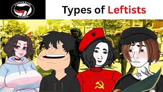 Types of Leftists in America