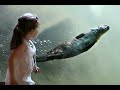 Detroit Zoo Animal Rescue Story North American River Otters