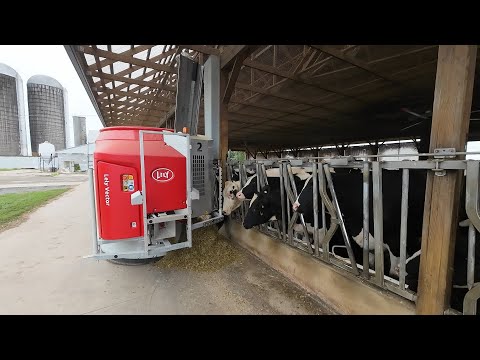 Lely Vector Automatic Feeding System Startup