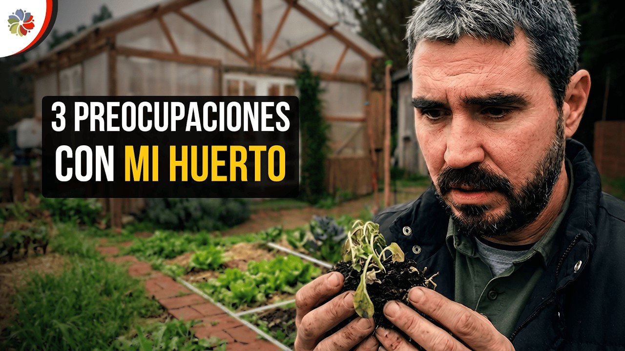Las 3 cosas que más me PREOCUPAN de mi HUERTA (la tercera es la peor)