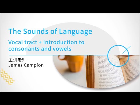 Phonetics: 2 - Vocal tract + Introduction to Consonants and Vowels