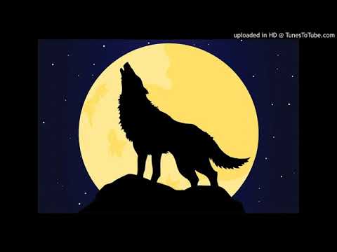 Império Neutro ft Azagaia,Flash, Drifa: Era noiite